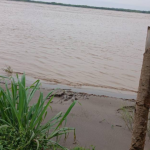 Vista de un río con dos troncos en la orilla y vegetación al frente.