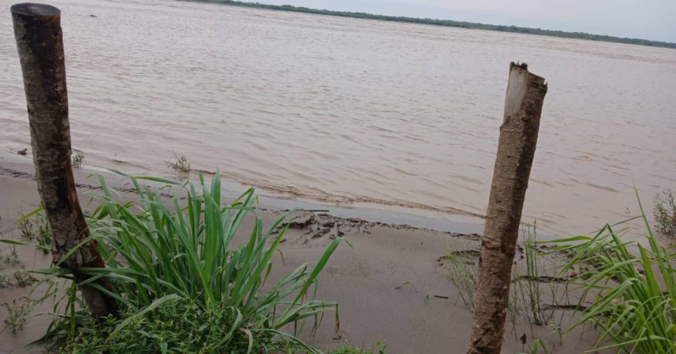 Vista de un río con dos troncos en la orilla y vegetación al frente.