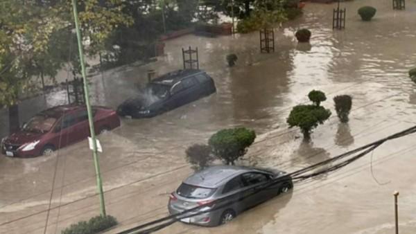 Inundación en una calle con coches parcialmente sumergidos y árboles.