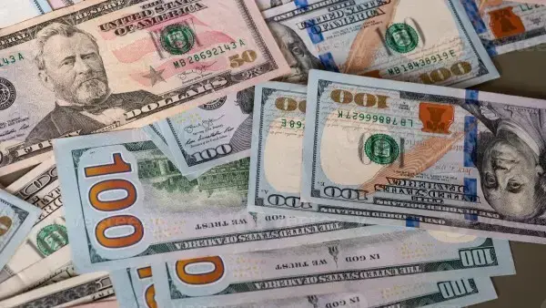 INE prevé bajada del dólar paralelo por balanza comercial positiva