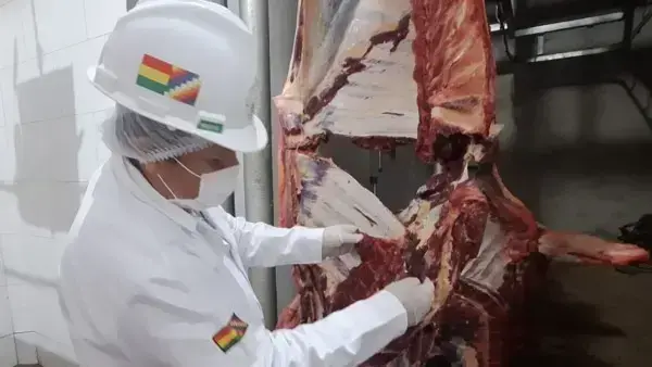 Imagen sin título Información de autor no disponible / Agencia de Noticias Fides (ANF)