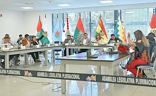 Una sesión de la Comisión de Constitución de la Cámara Alta.