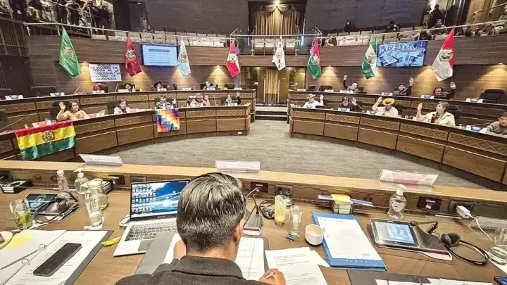 Cámara de Senadores, durante la aprobación de la ley de escaños.