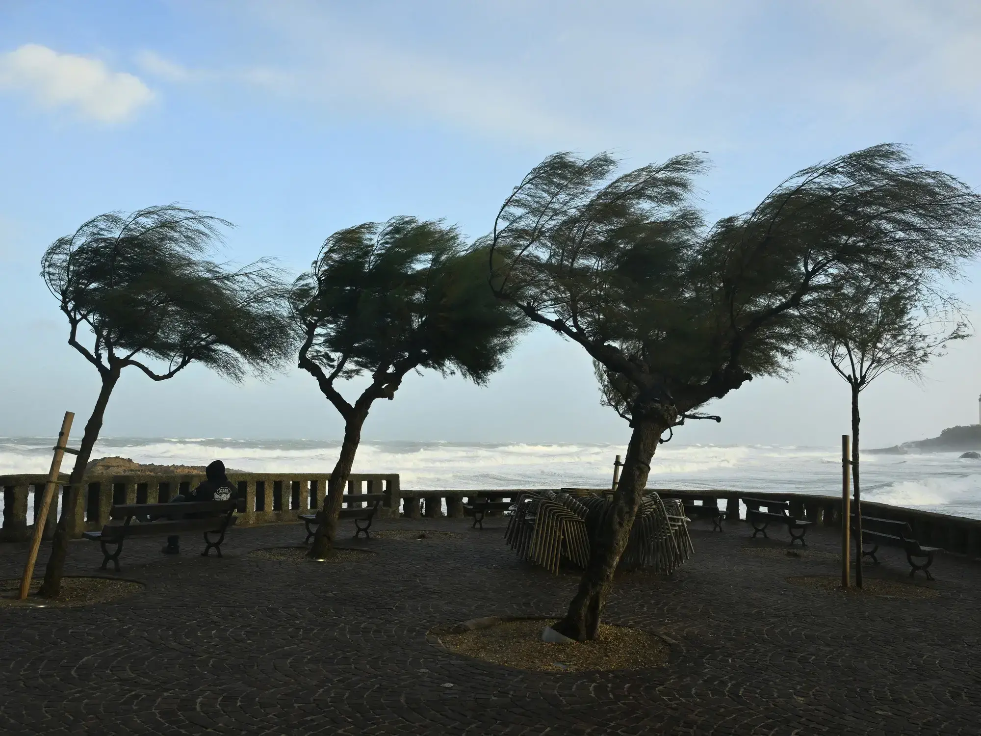 El viento golpea a los árboles cerca de la Grande Plage, en la región de Biarritz
