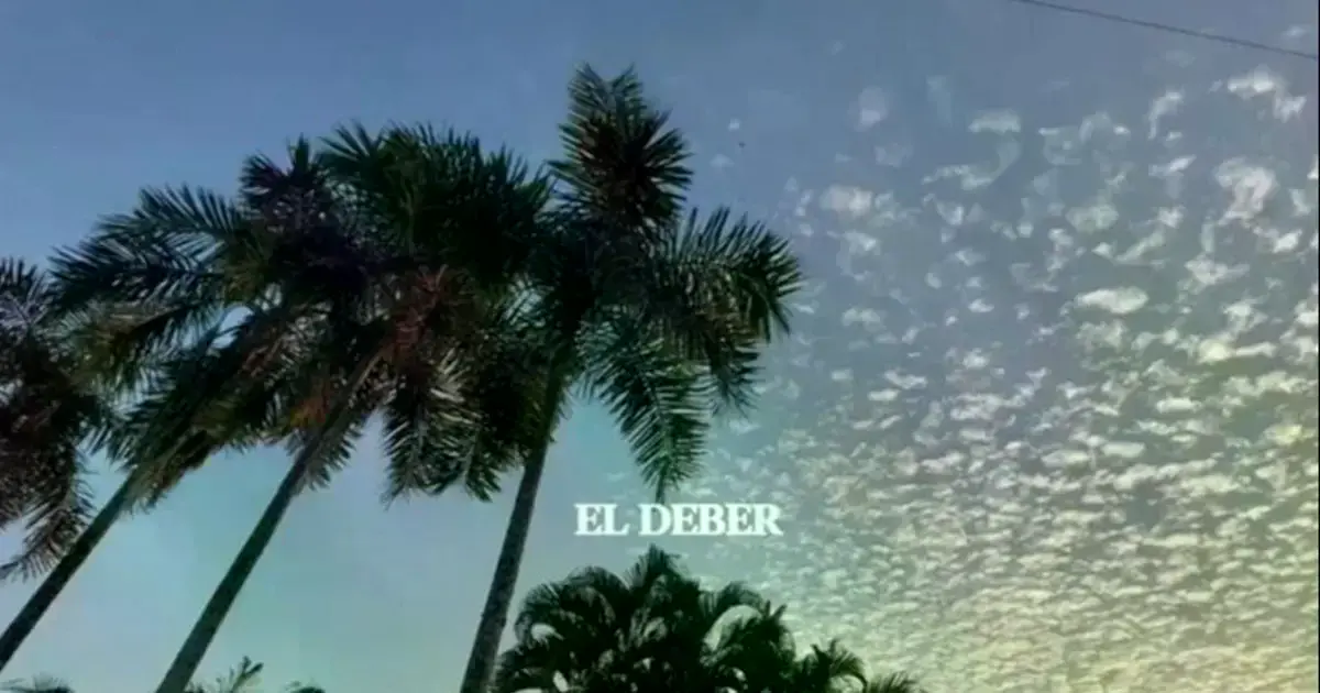 Imagen sin título