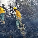 Efectivos militares sofocan un incendio.