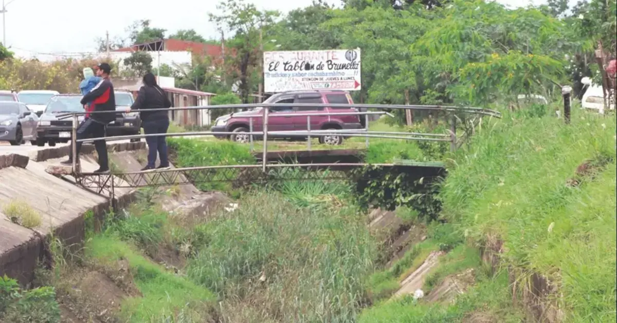 Las llantas en desuso son uno de los principales criaderos del mosquito Aedes aegypti.