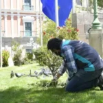 Un trabajador arregla uno de los jardines de la plaza Murillo en La Paz.
