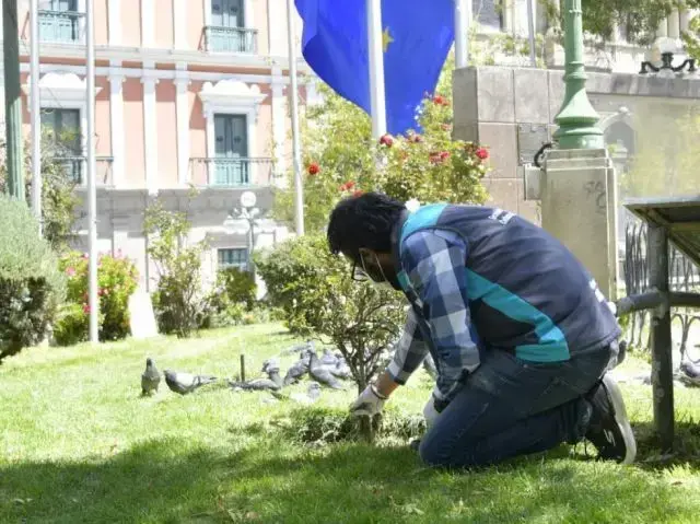 Un trabajador arregla uno de los jardines de la plaza Murillo en La Paz.