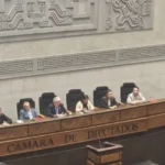 La directiva 'ad hoc' de Diputados.