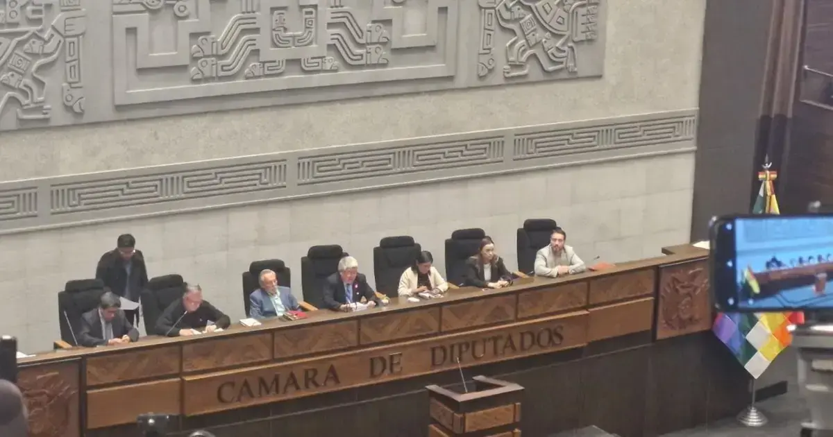 La directiva 'ad hoc' de Diputados.