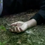 La mujer fue golpeada en el bosquecillo Pura Pura