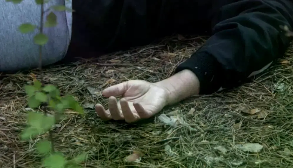 La mujer fue golpeada en el bosquecillo Pura Pura