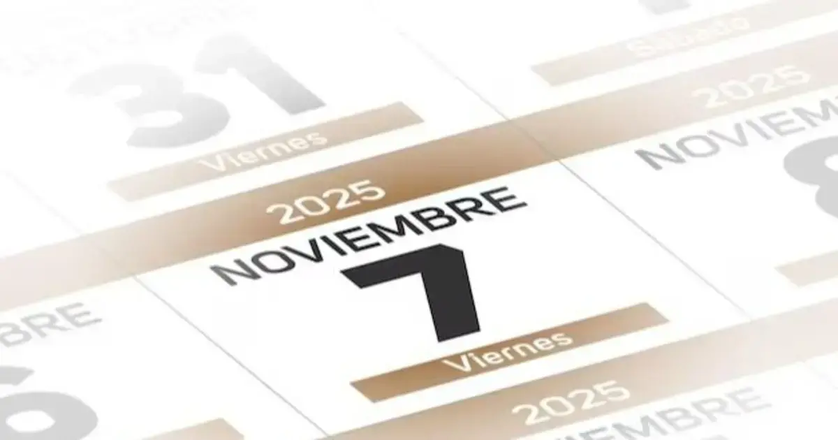 Imagen referencial