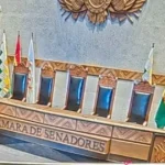 La Cámara de Senadores