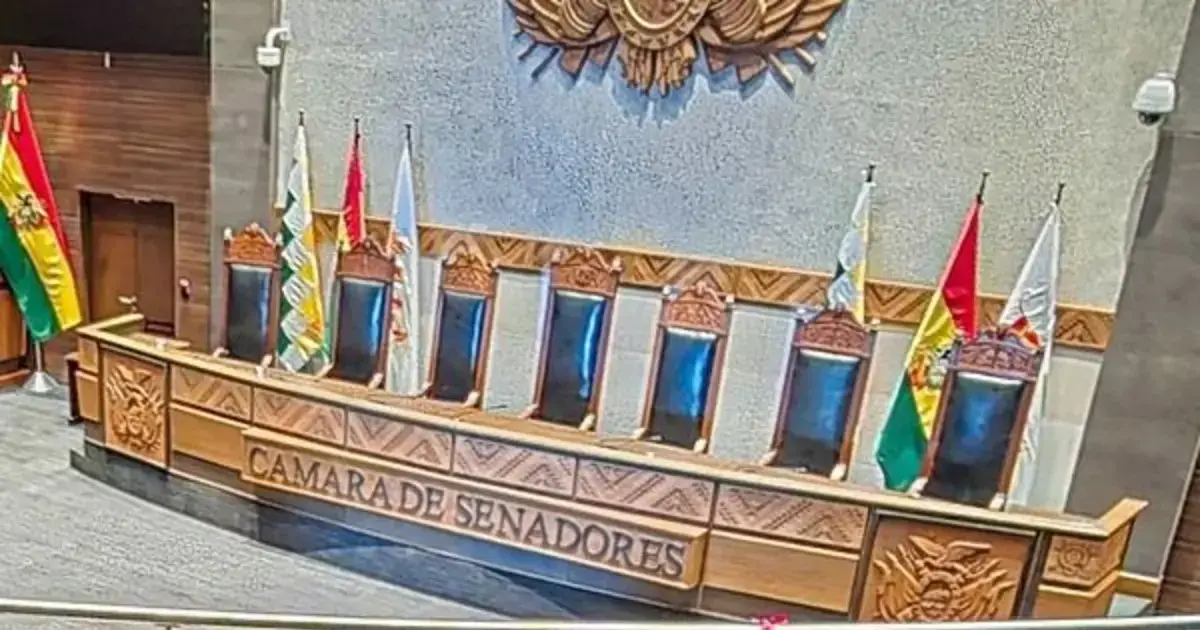 La Cámara de Senadores