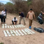 Paquetes de droga hallados enterrados en la zona donde cayó la avioneta.