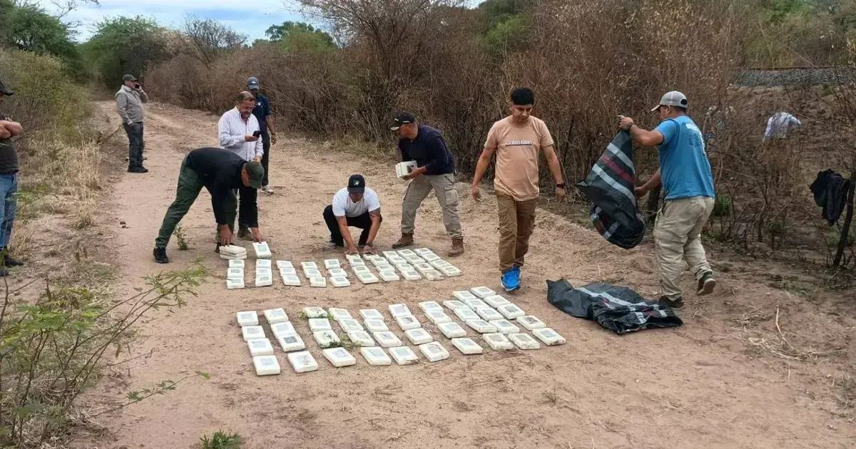 Paquetes de droga hallados enterrados en la zona donde cayó la avioneta.