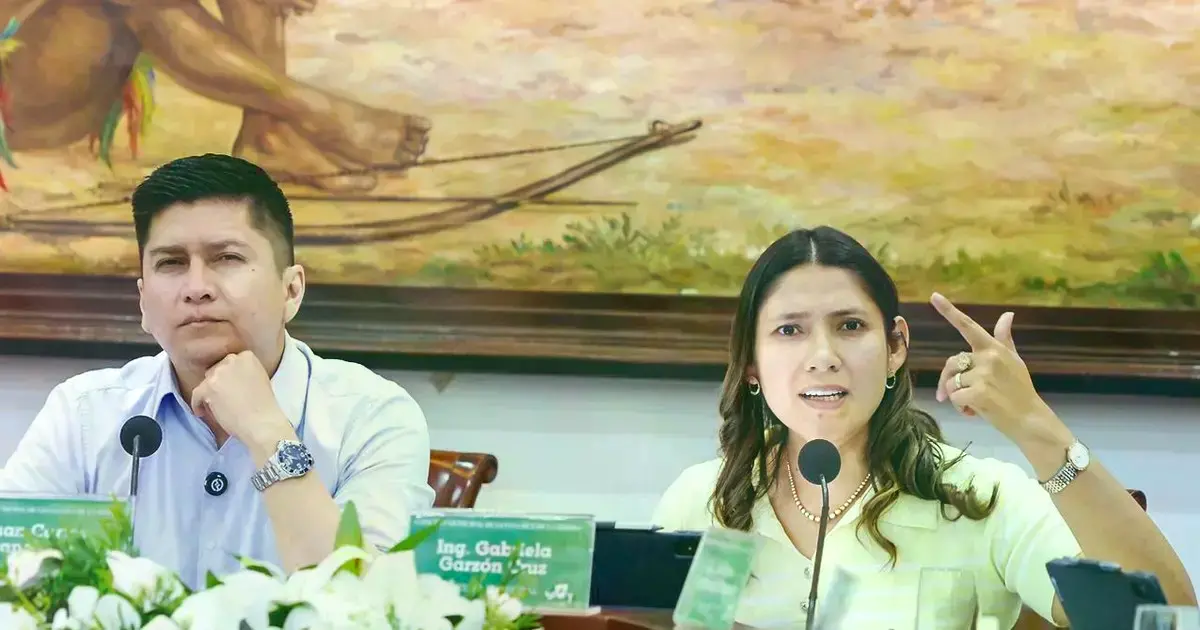 Sesión del Concejo Municipal de Santa Cruz