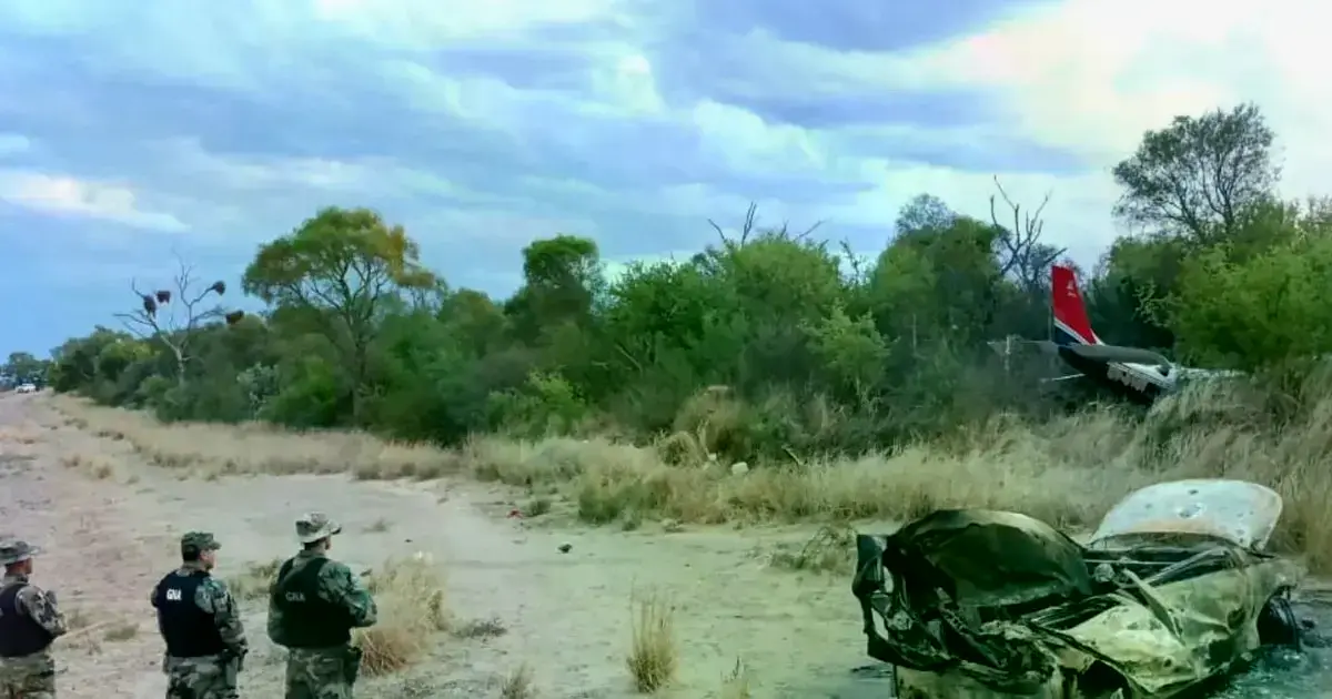 La droga incautada en la zona donde se precipitó la avioneta.