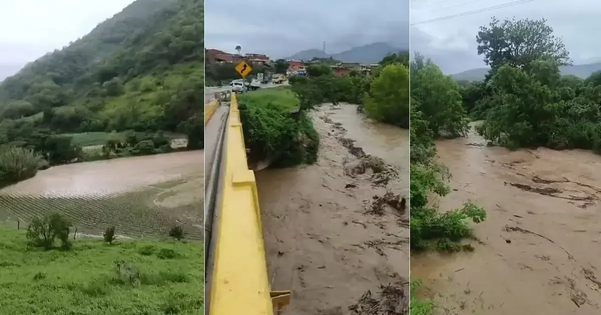 Imagen sin título