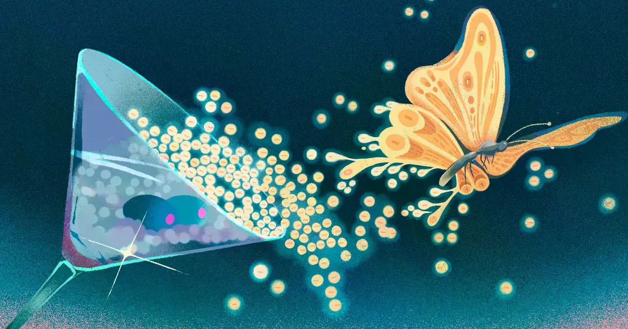 La mariposa de Hofstadter, un patrón fractal que emerge en sistemas cuánticos