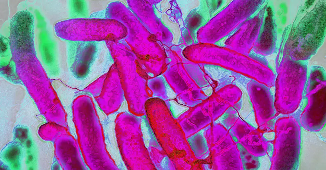 Representación de bacterias en un fondo abstracto.