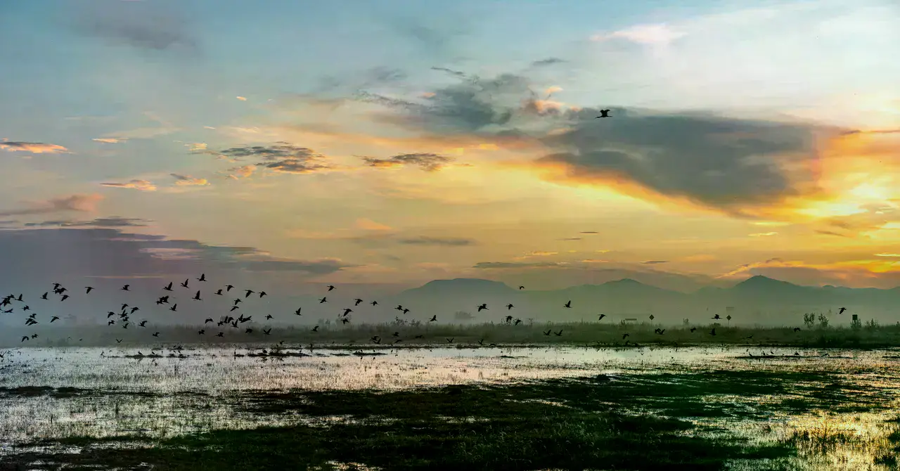 Vista del Lago Nabor Carrillo dentro de los límites del nuevo parque.