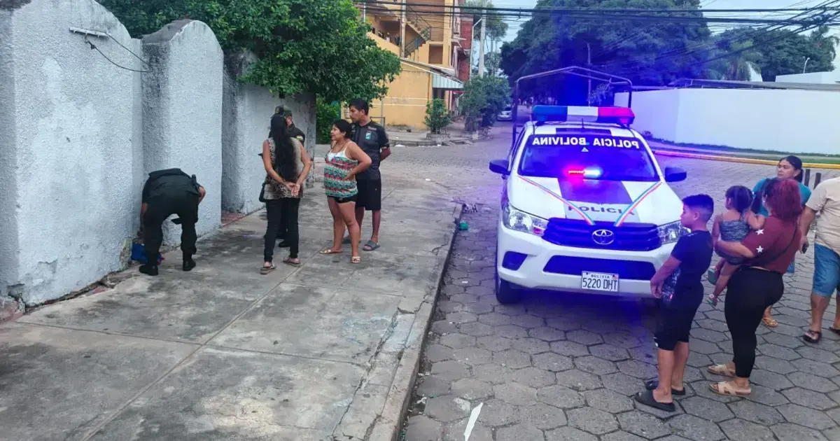 Imagen sin título