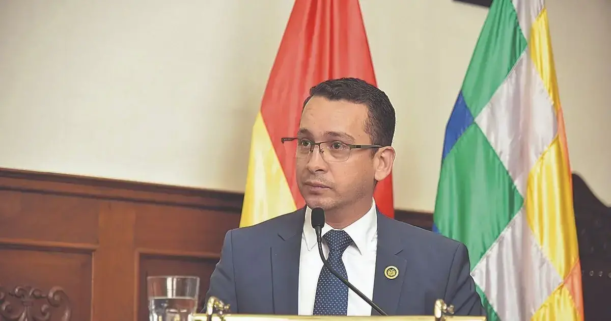 Romer Saucedo, presidente del Tribunal Supremo de Justicia