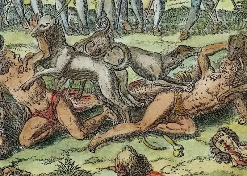 Detalle de la ilustración que aparece en la portada del libro 'Tierra de canes'