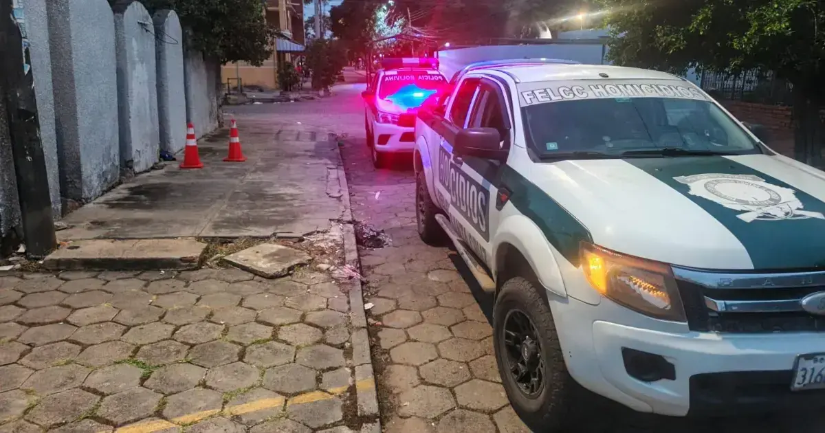 Imagen sin título