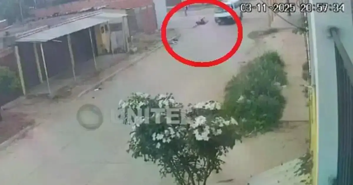 Imagen sin título