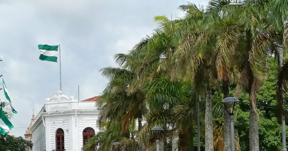 Imagen sin título
