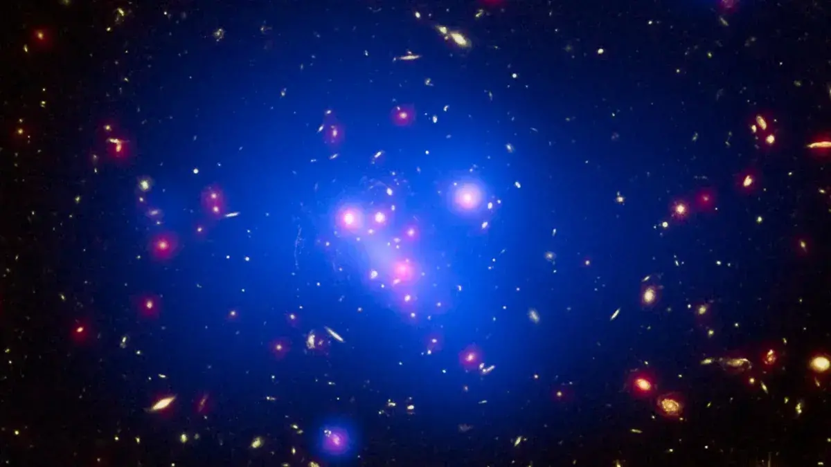 Cúmulo de galaxias IDCS J1426.5+3508, que contiene una masa de casi 500 billones de soles.