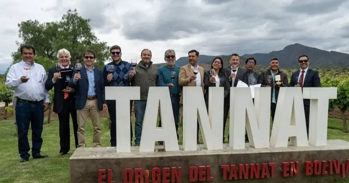 Imagen sin título