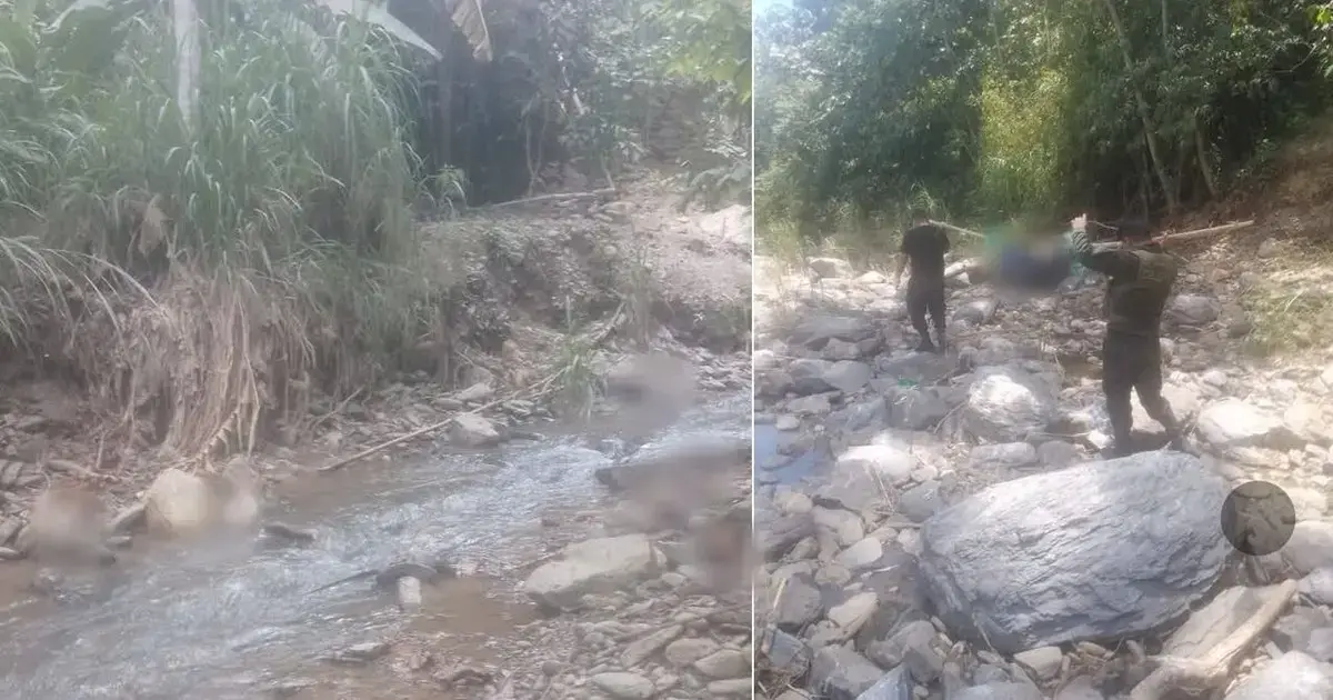 Imagen sin título