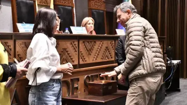 Votación para la conformación de las comisiones y comités en el Senado