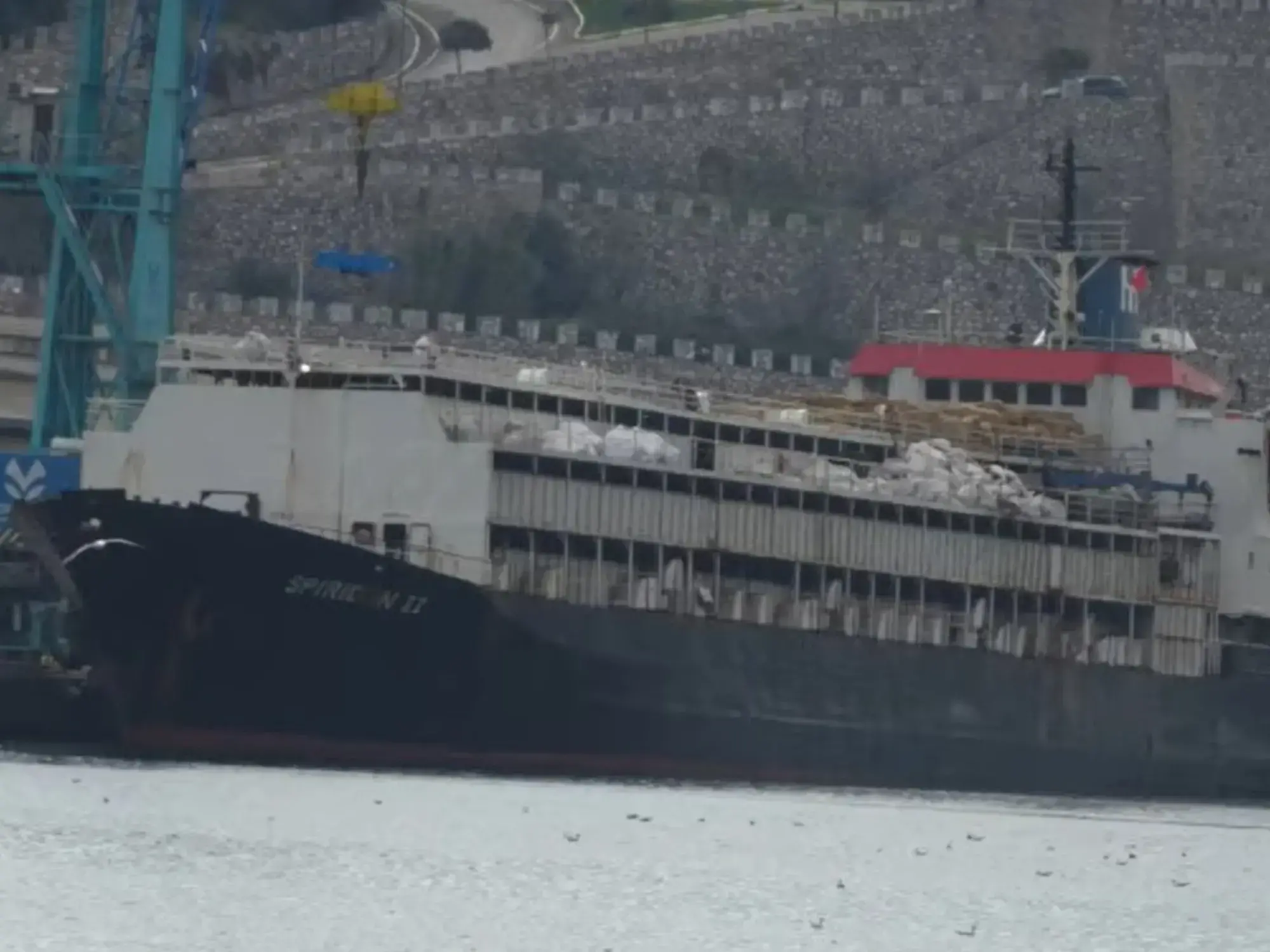 Barco varado con ganado uruguayo frente a un puerto de Turquía.