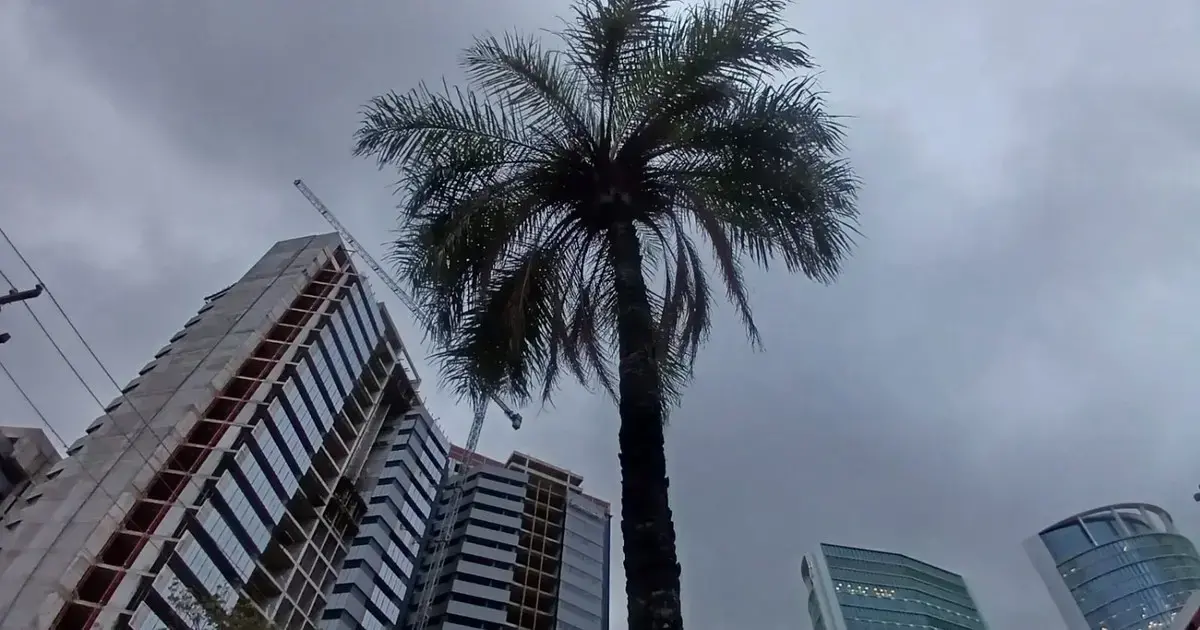 Imagen sin título