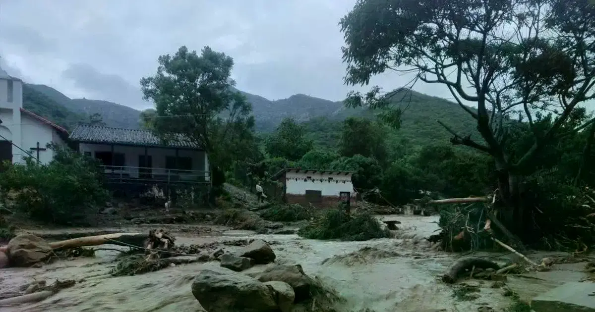 Imagen sin título