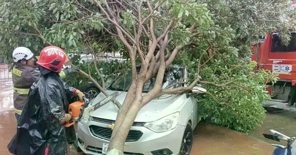 Imagen sin título