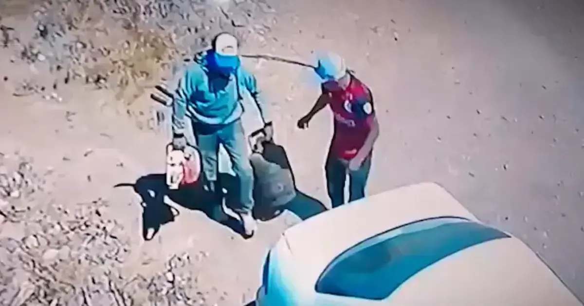 Imagen sin título