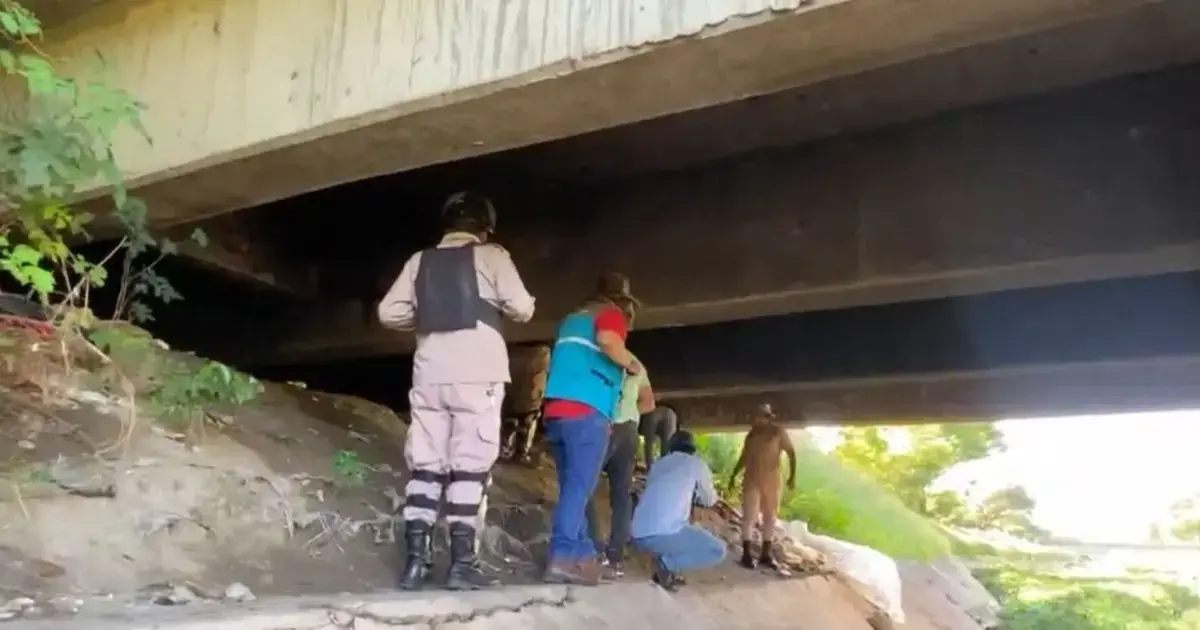 Imagen sin título