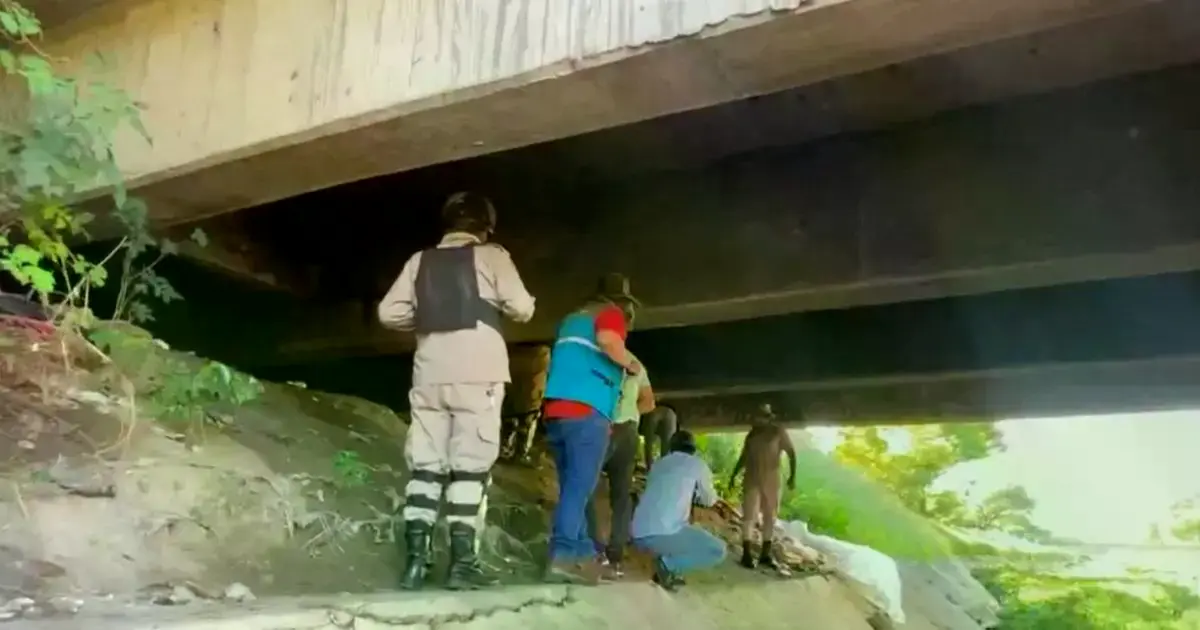 Imagen sin título