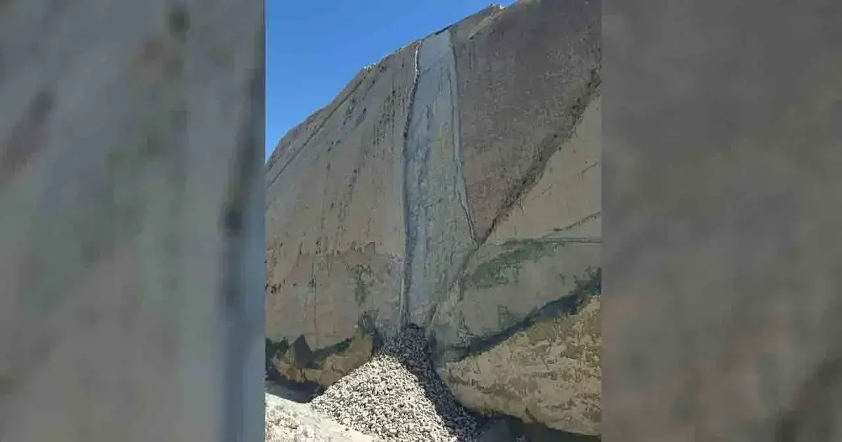Imagen sin título