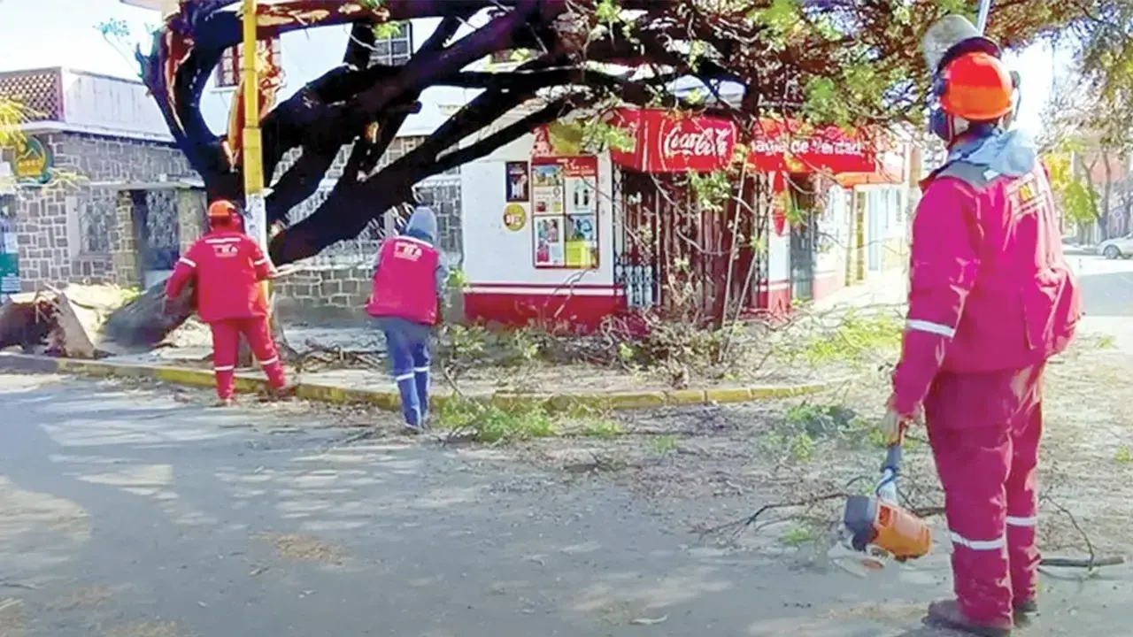 Imagen sin título