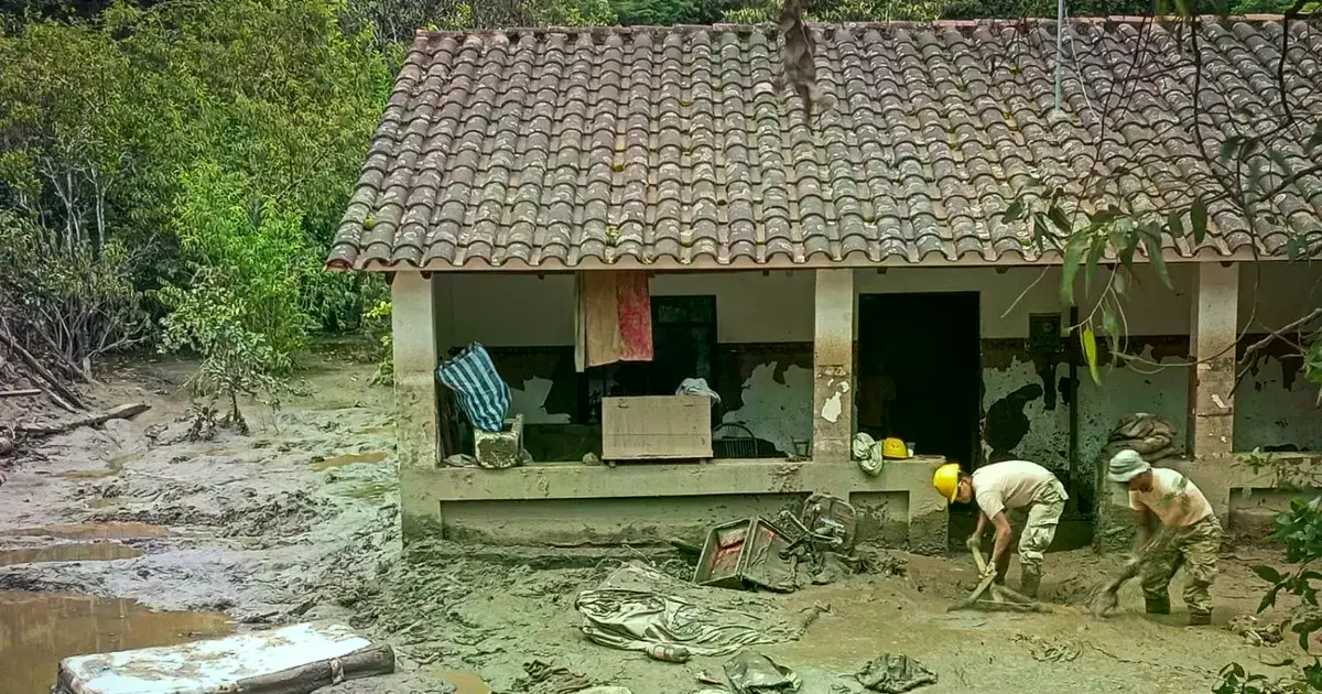 Imagen sin título