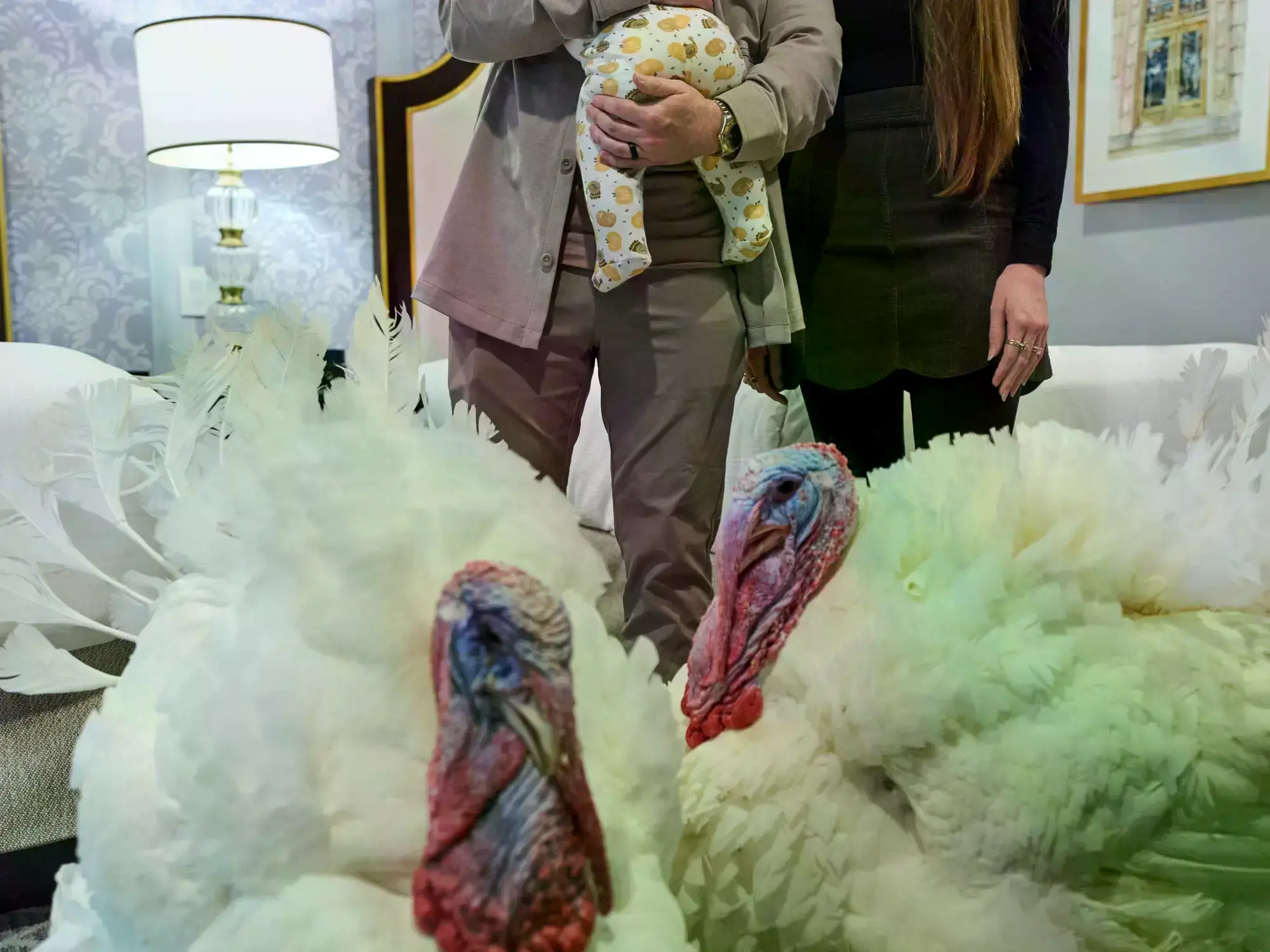 Los pavos Waddle y Gobble, perdonados.