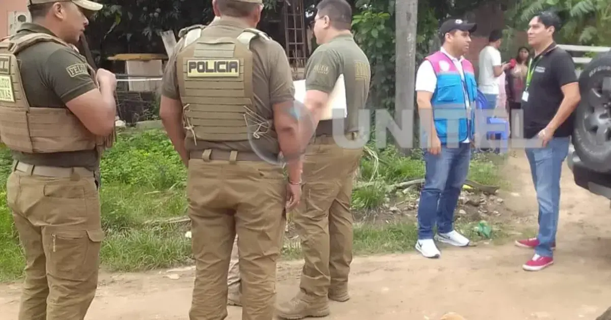 Imagen sin título